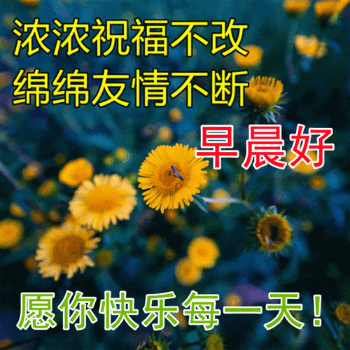 最新版最漂亮的早上好美图祝福是心意问候是诚意