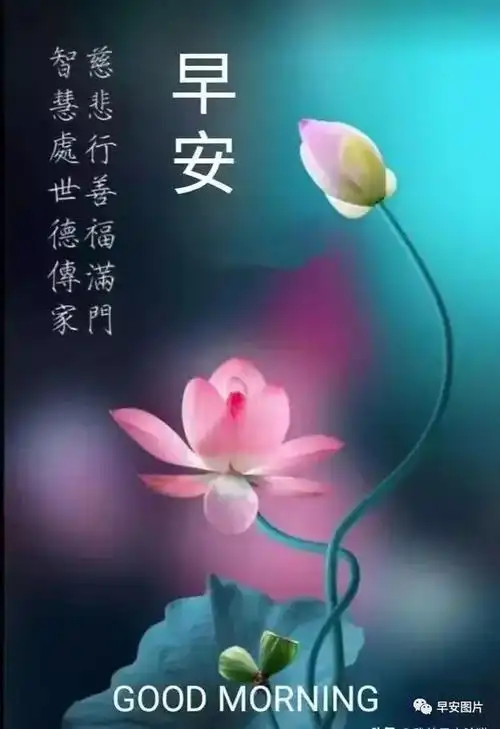 2023年9月1日唯美早安祝福图片问候语早安问候祝福语大全