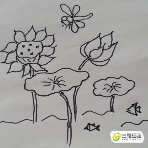 蜻蜓戏荷塘幼儿简笔画_三思经验网