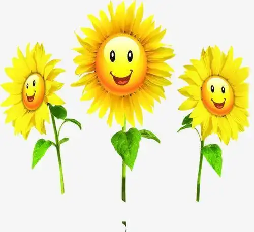 微信头像向日葵笑脸_第1页