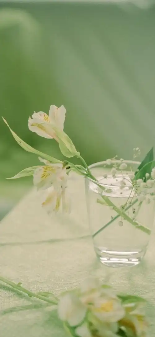 再来一组绿色系护眼壁纸