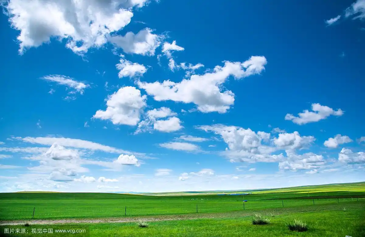 草原上飘着厚厚的云朵