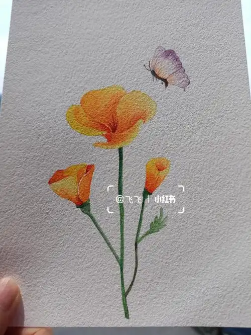 蝶恋花水彩画干画法练习