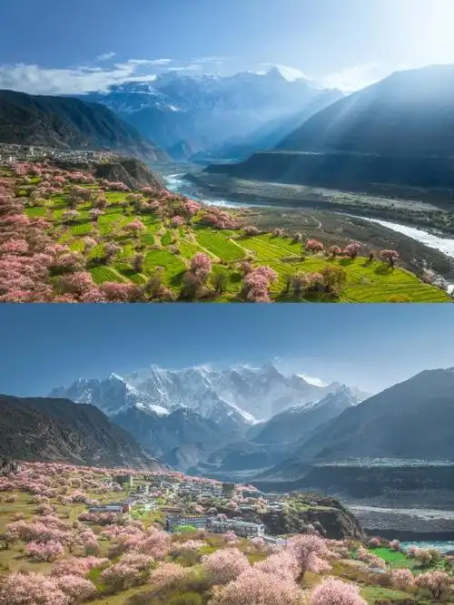 壁纸 风景 摄影 桌面 690_920 竖版 竖屏 手机