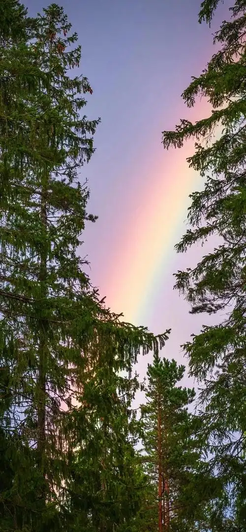 唯美彩虹风景背景图,唯美彩虹风景背景图片(高清唯美彩虹壁纸)