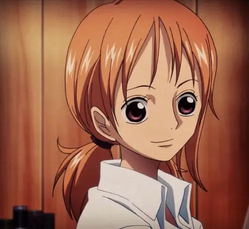 海贼王/ 娜美桑