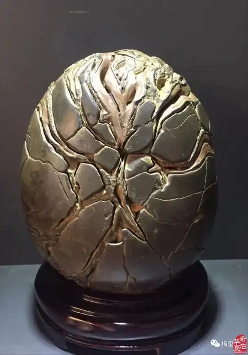 梅玺堂//全国奇石免费展示图(第105期)