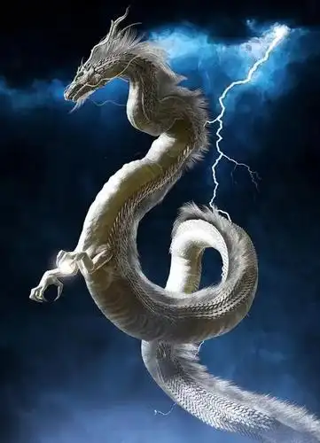 手机无水印壁纸中国龙