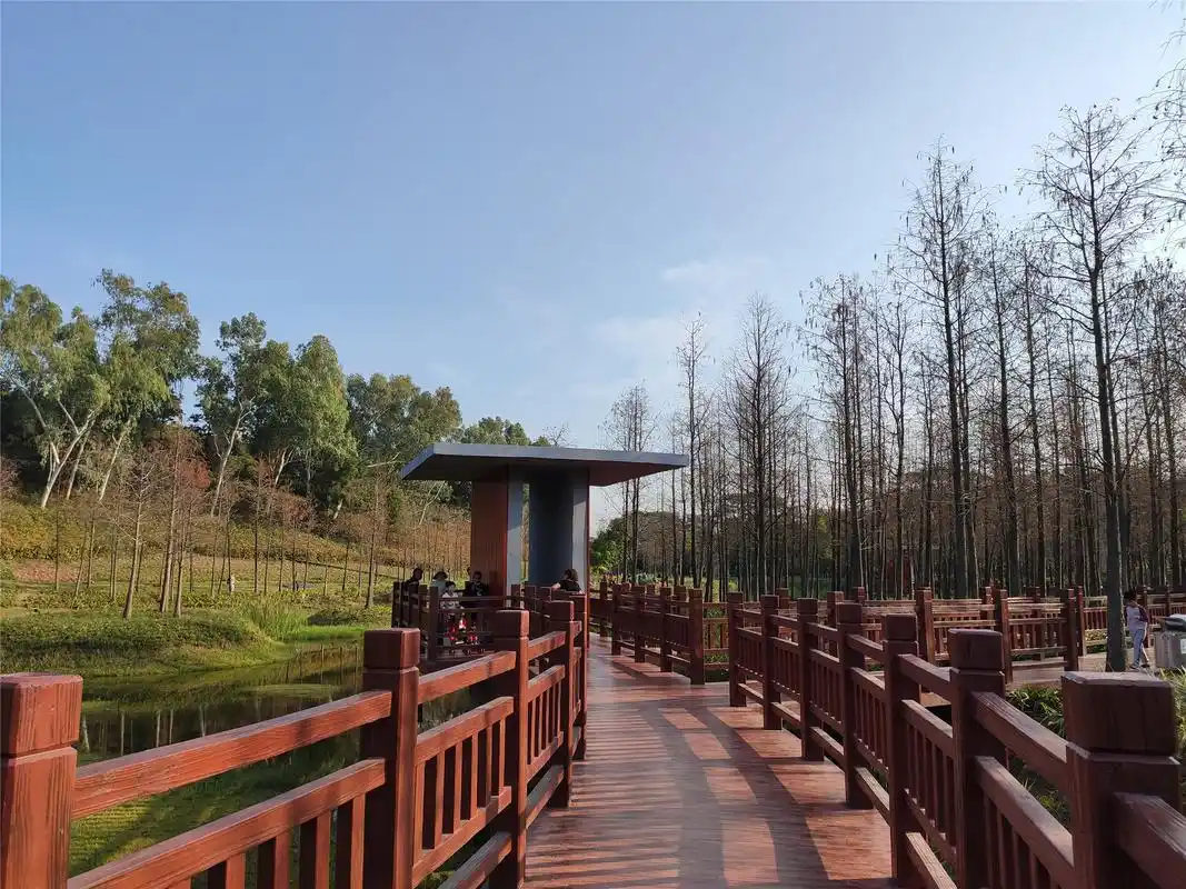 一组图让你游遍深圳红花岭公园,有山有水还有飞机坦克,意义非凡