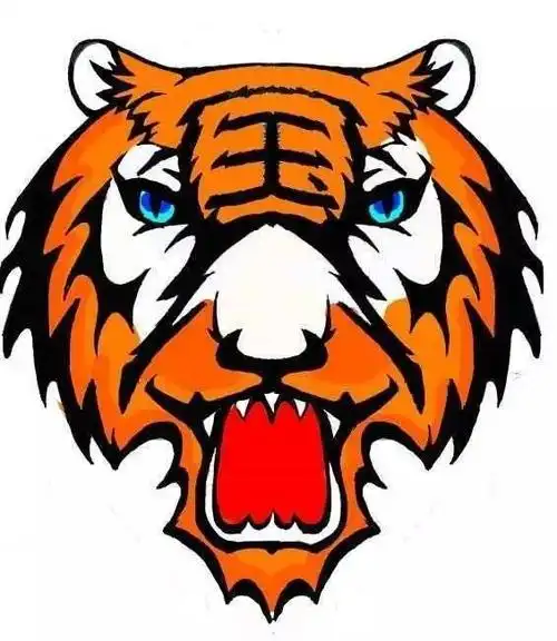 2016级 国际会计班 选用虎头作为班徽,一方面是因为能够利用老虎的