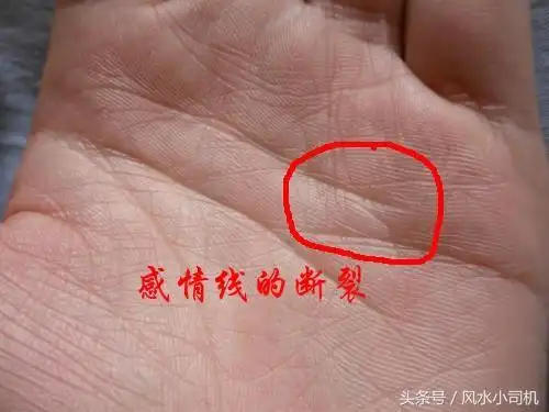 对手相"感情线"出现断裂,断续,两条感情线的详解
