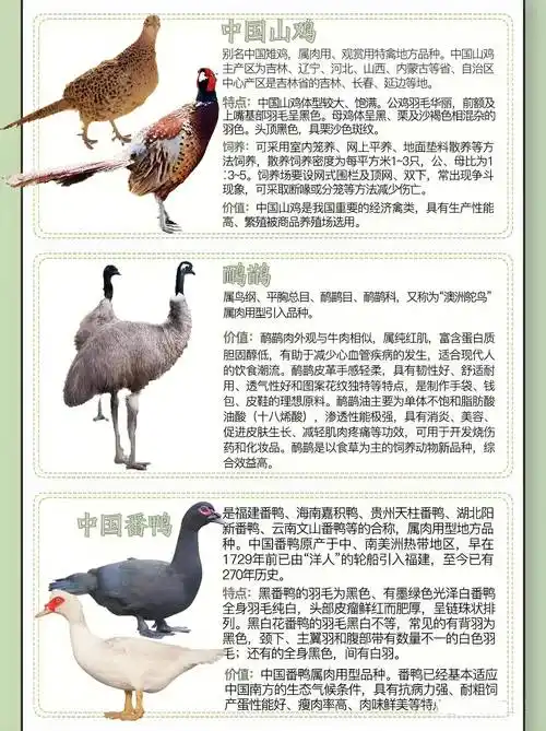 除了传统畜禽养殖外,【国家】允许养殖的特种畜禽都有哪些?