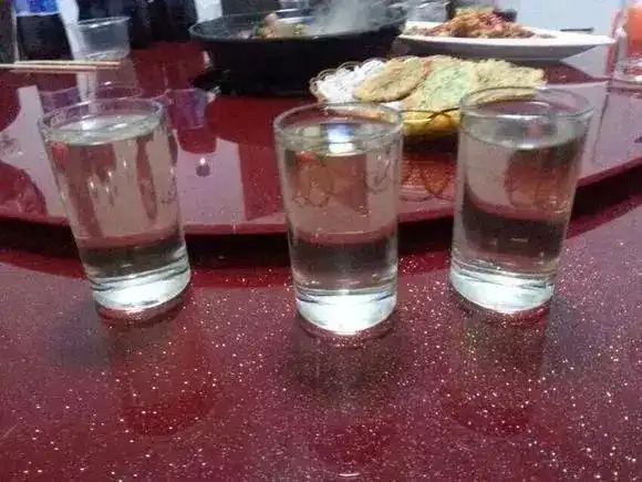 酒是我们餐桌上的主要饮料之一,中国的酒桌文化源远流长,各种家庭朋友