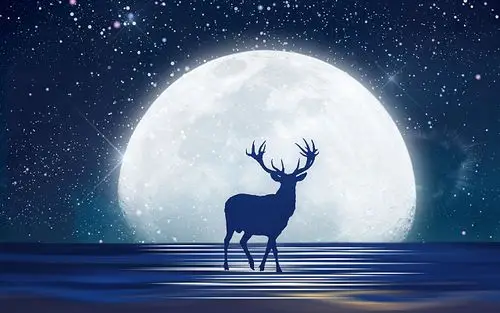 星地球空卡通插画装饰夜空星空麋鹿素材背景