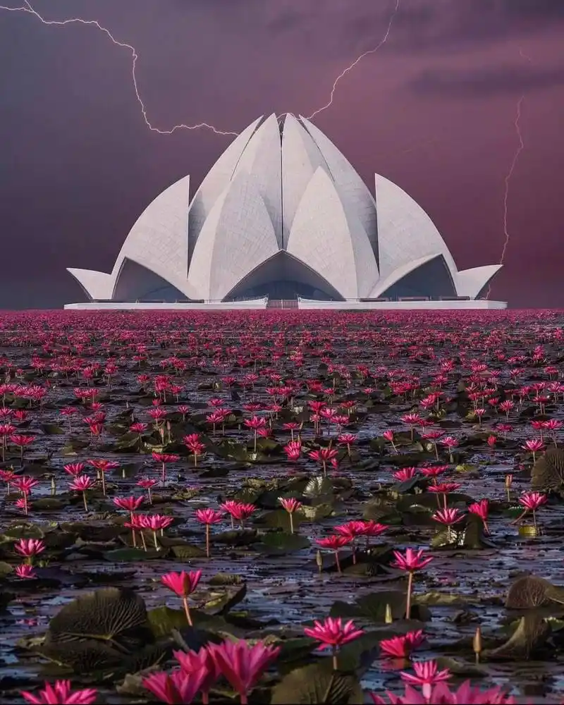 莲花寺(lotus temple),印度新德里 by kristina makeeva  莲花寺是