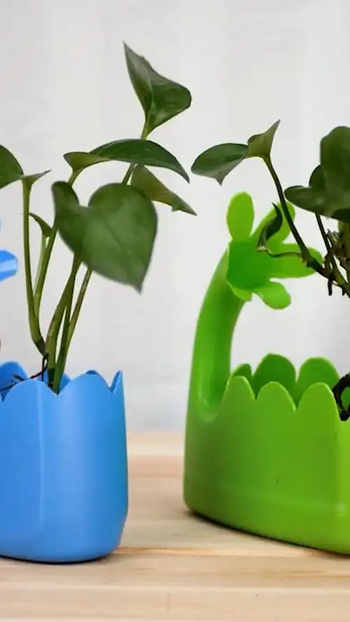 塑料瓶变身花盆,变废为宝!