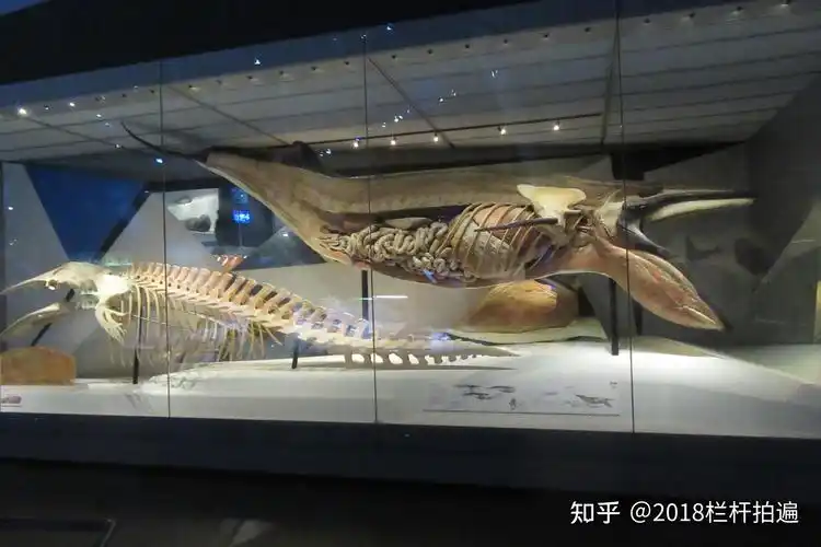 天津:打卡"天津·国家海洋博物馆"(2)
