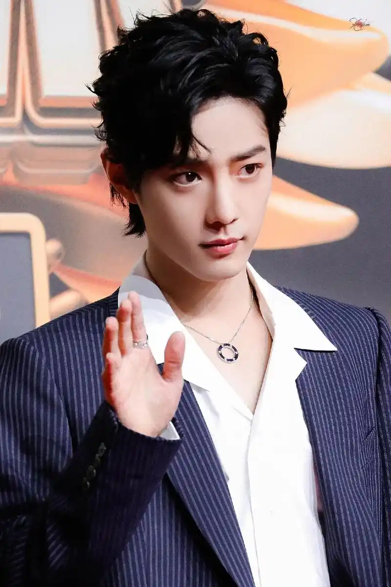 肖战  爱意随风起却不会随风散#内娱男明星颜值不是说说而已 - 抖音