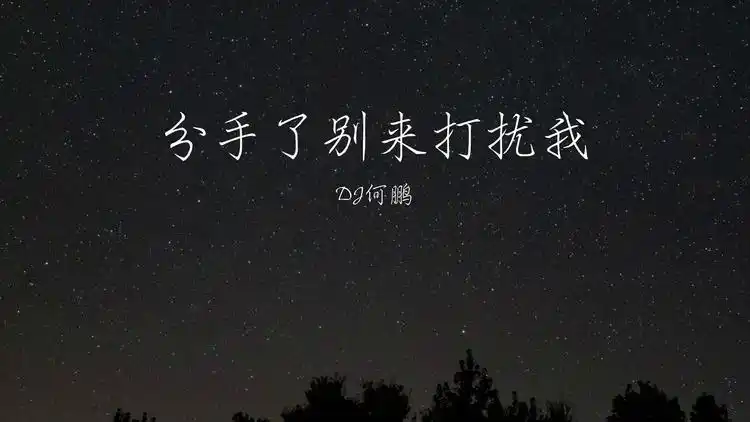 dj何鹏/冷漠演唱的《分手了别来打扰我》歌词版mv