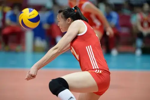 惠若琪公开承认恋情 学霸私人医生知识博学(组图)