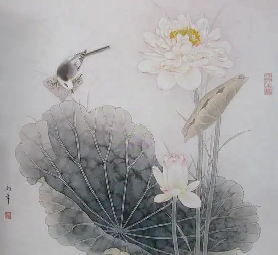 工笔画白描荷花,图片大全,高清,图库-回车桌面