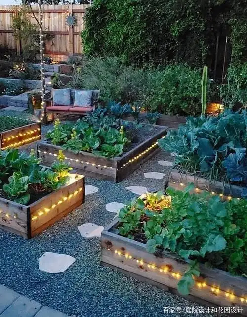 推荐几种花园阳台种菜方式,满足你的田园梦