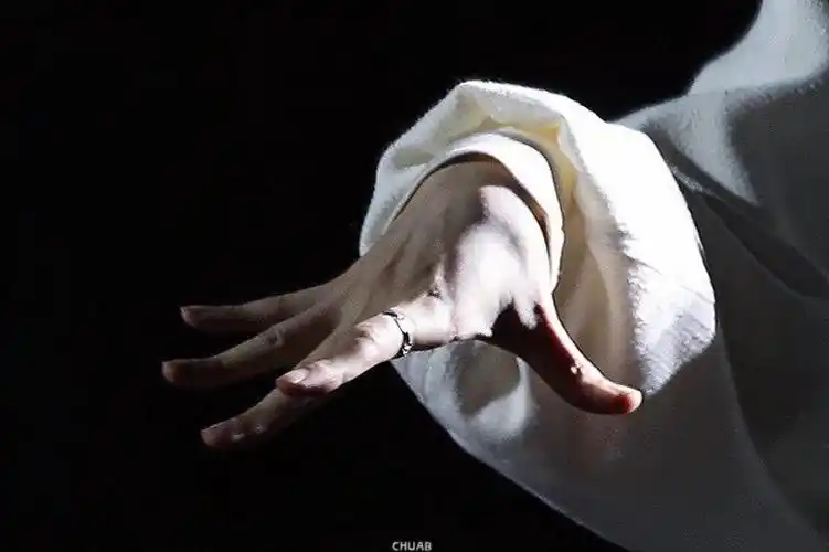 边伯贤美手 边伯贤细节图