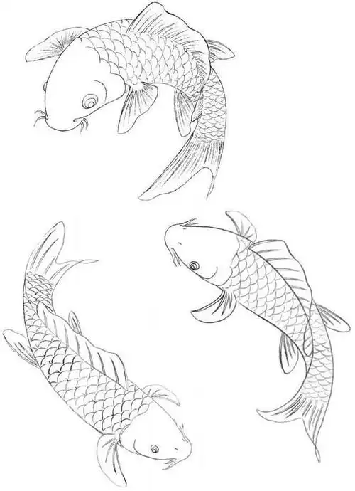 中国画零基础入门教程:分步骤讲解三种鱼类画法,简单易学的国画