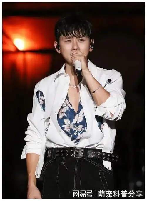 这些明星也曾泪洒舞台,原因一个比一个戳心|张杰|伍佰|唱片|邓紫棋