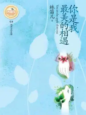 你是我最美的相遇