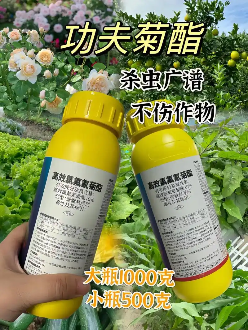 10%"功夫菊酯"来了.功夫菊酯它来啦,地上地下害虫通打,含