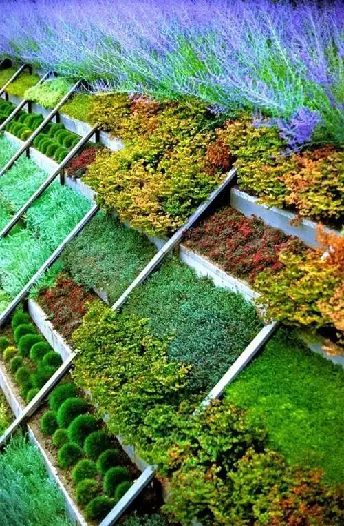 乡村庭院改造?10个创意设计要点,小改变大格调