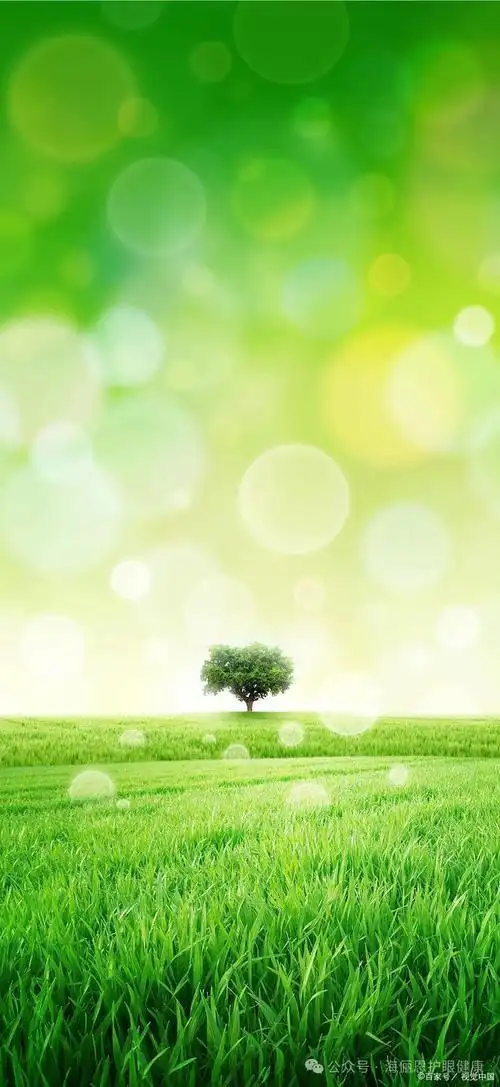 「海俪恩护眼科技」分享壁纸| 干净护眼的绿色系手机壁纸