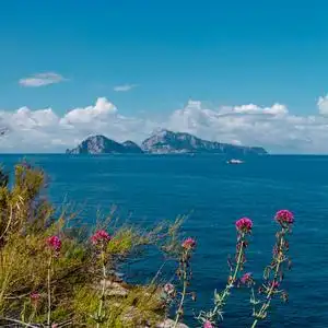 岁月静好～头像