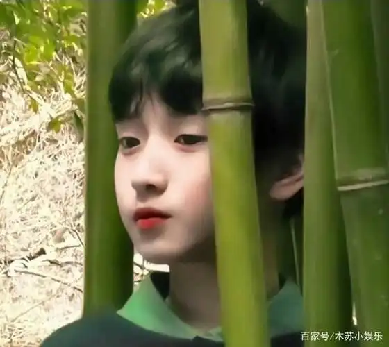 小熊严浩翔幼崽期图片合集