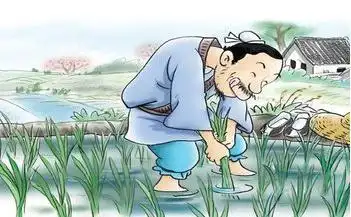 揠苗助长的故事