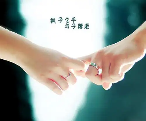 携手白头牵手图片这一生与你携手白头