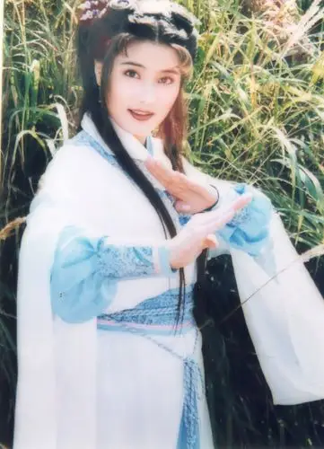 赵燕翎 (其他人物相关)