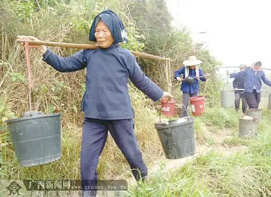 南宁江西镇同新村面临用水威胁 挑水队伍重现村里