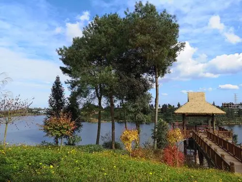 "浪漫茶乡"名山月亮湖