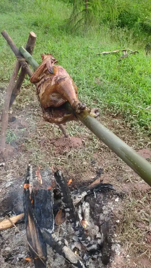 乡村生活#最好的烤鸡,真棒.