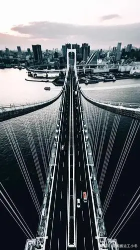 1080p 高清 竖屏 手机壁纸!