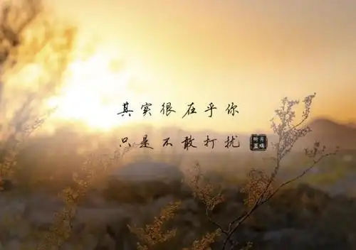 在感情中,那些在乎你的人,其实都在背后默默守护着你