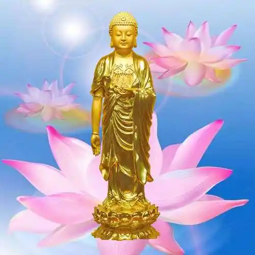 天天念"南无阿弥陀佛",它的真正含义,你知道吗?