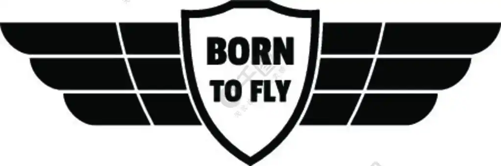 为飞翔而生的翅膀标志在白色背景下隔离的网页设计的生来飞翼矢量标志