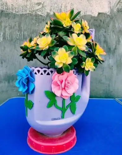 酒瓶易拉罐洗衣液瓶用完剪一剪,不花钱变成漂亮花盆!