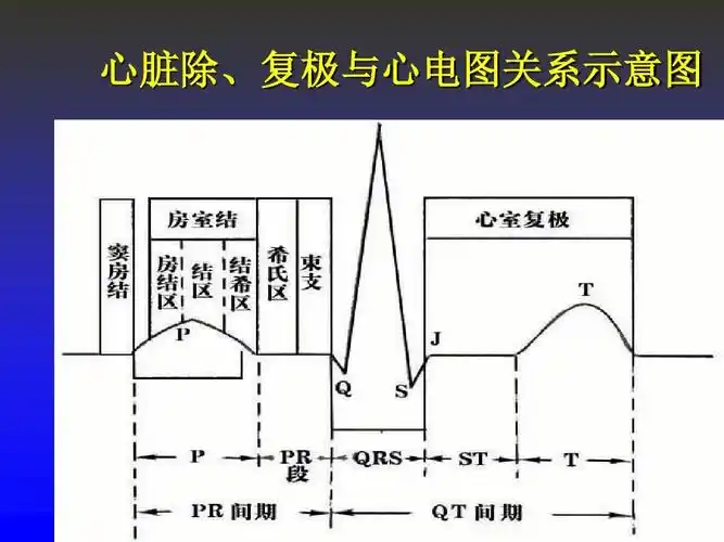 心电图讲义:很好,很完整的心电图讲解,看完就懂_word文档在线阅读与下
