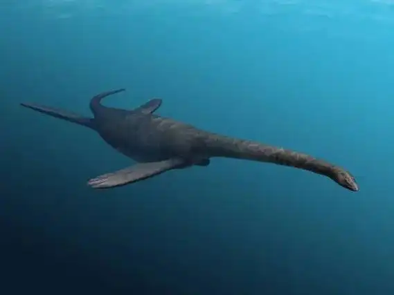 龙年运势如何,做场恐龙"占卜"就知道了_澎湃号·湃