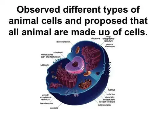 cells - the basic unit of life