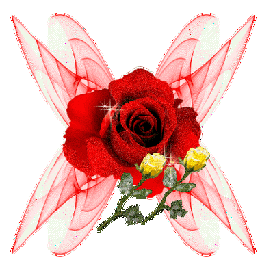 400_400gif 动态图 动图